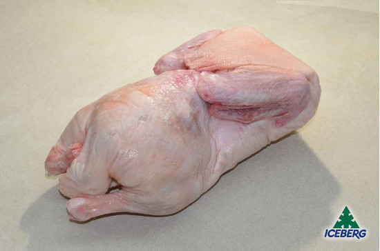 ANATRA BUSTO 1X6PZ CG