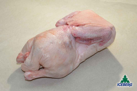ANATRA BUSTO 1X6PZ CG