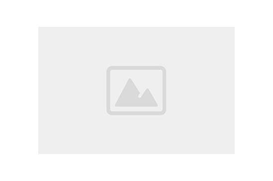 SPIEDINI GAMBERO ARGENTINO PANATO 2X20PZ CG