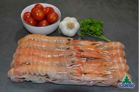 SCAMPI DANIMARCA LAESO 13/16 2X800GR+CG
