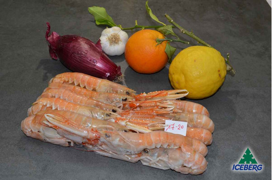SCAMPI SCOZIA LAESO 17/20 6X750GR CG