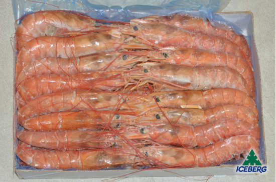 GAMBERI ARGENTINA 10/20 B. BRICEL 6X2KG CG