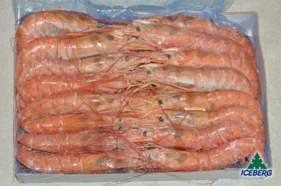 GAMBERI ARGENTINA 10/20 B. BRICEL 6X2KG CG