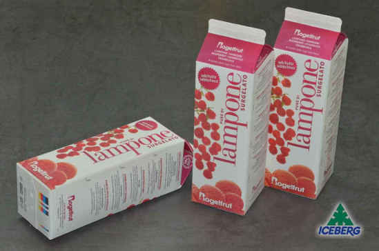 POLPA LAMPONE 2X1KG +SG