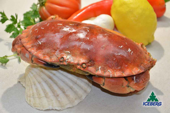 GRANCIPORRO ATLANT.PREC.8/1000 1X10KG CG