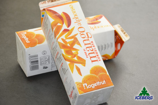 POLPA MANGO 2X1KG +SG