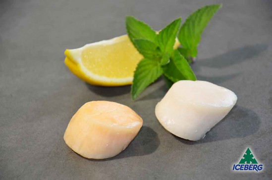 CAPPESANTE OCEANICHE S/G 20/30 P.P.2X1KG +CG