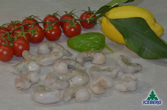 CODE MAZZ.LE TROP.EC.SG. BR. L 10X1KG CG