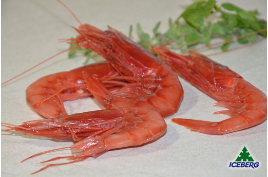 GAMBERI ROSSI SICILIA IV PREMIUM 2X1KG +CG