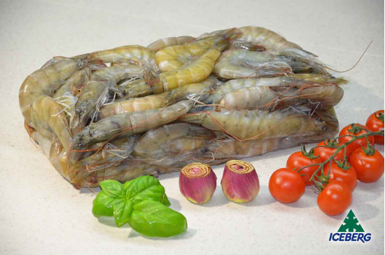 MAZZANCOLLE TROP. EC. P.P. 30/40 S.6X2KG CG