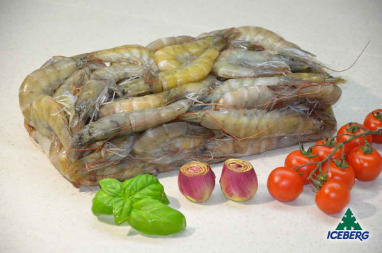 MAZZANCOLLE TROP. EC. P.P. 30/40 S.6X2KG CG