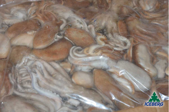 MOSCARDINO P.V. 1X20KG CG