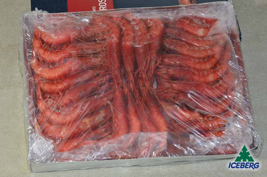 GAMBERI ROSSI SICILIA III PREMIUM 12X1KG CG