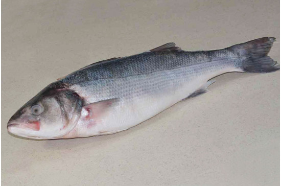 BRANZINO INTERO 2000/3000 1X2PZ CG
