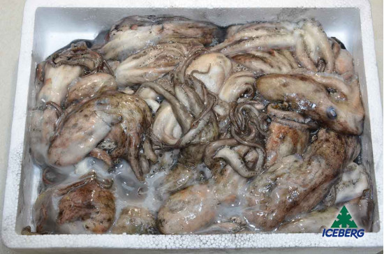 MOSCARDINO NOSTRANO "CHIOGGIA" 1X8KG CG