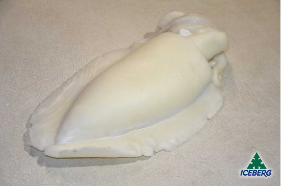 SEPPIE OCEANICHE U/1 INDIA IQF 1X6KG CG