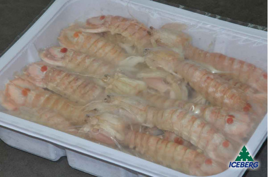 CANOCCHIE NOSTRANE PRECOTTE        4X1,35KGSG