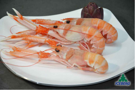 SCAMPI IRLANDA 11/15 PORCUP. P.N.  3X3KG   CG