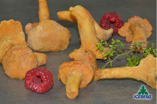 FUNGHI FINFERLI SCOTTATI E.        5X1KG   SG