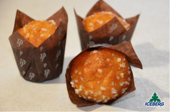 MINI TULIPANO ALBICOCCA            42X26GR SG