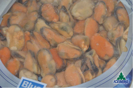 COZZA CILENA S/G IQF               20X450GRSG