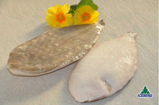 SOGLIOLA DEKKER N.4 P.P.           1X4KG   CG