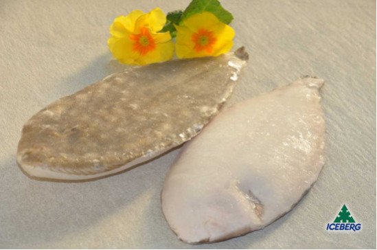 SOGLIOLA DEKKER N.4 P.P.           1X4KG   CG