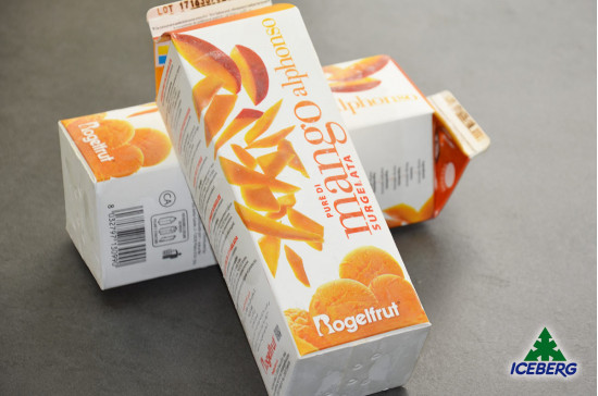 POLPA MANGO                        2X1KG  +SG