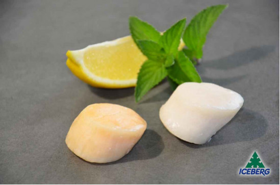 CAPPESANTE OCEANICHE S/G 20/30 P.P.2X1KG  +CG