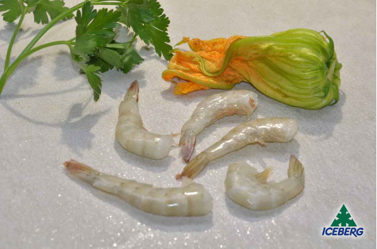 CODE MAZZ.LE TROP.EC. P.P. 41/50 S.2X2KG  +CG