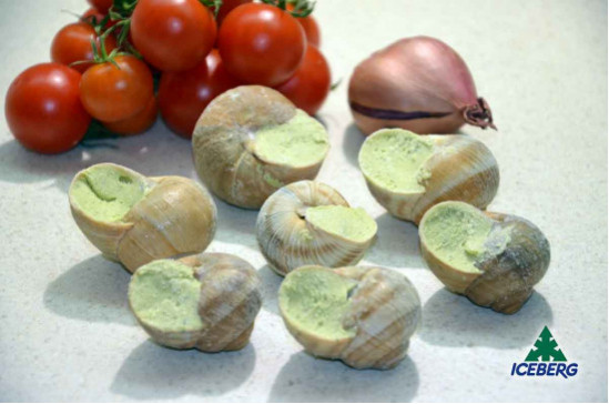 LUMACHE ALLA BORGOGNA              1X50PZ +SG