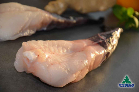 CODE RANA PESC.OCEAN.100/250 BENGU.1X6KG   CG