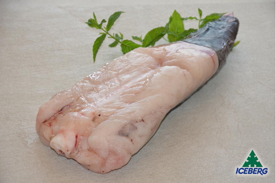 CODE RANA PESC.OCEAN.2000/UP BENGU.1X12KG  CG