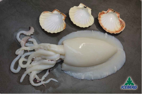 SEPPIE INDOPACIFICHE U/1 INDIA IQF 1X6KG   CG