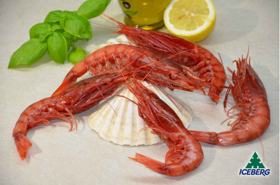 GAMBERI ROSSI SICILIA II PREMIUM   2X1KG  +CG