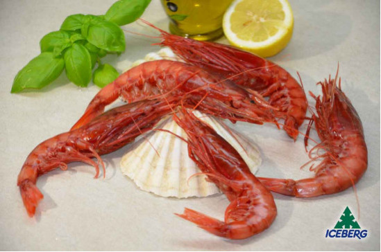 GAMBERI ROSSI SICILIA II PREMIUM   2X1KG  +CG