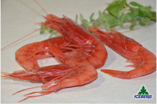 GAMBERI ROSSI SICILIA IV PREMIUM   2X1KG  +CG