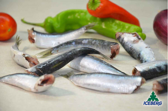 SARDINA SENZA TESTA IQF CROAZIA    1X9,7KG CG