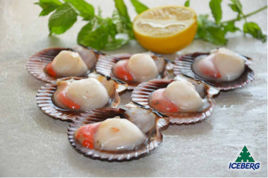 CAPPESANTE PAC. M/G 30/40          10X750GRCG