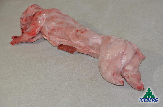 CONIGLIO C/T NAZIONALE             1X2PZ  +CG