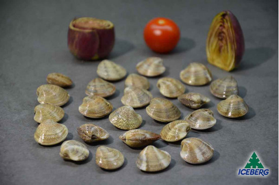 VONGOLE C/G IQF                    5X1KG   CG