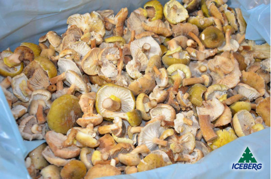 FUNGHI CHIODINI B. SCOTTATI        1X3KG   SG