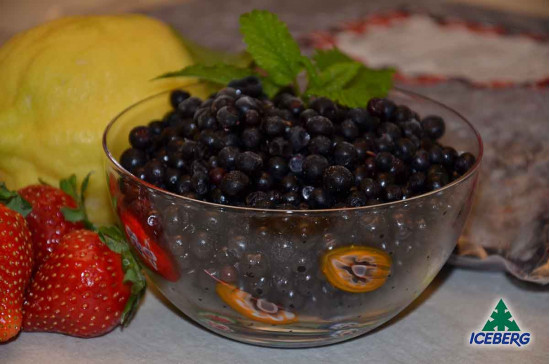 MIRTILLO BOSCO E.                  2X1KG  +CG