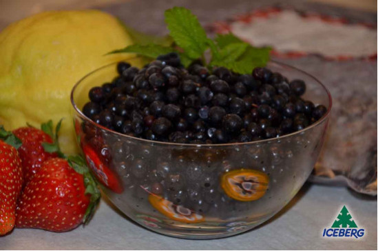 MIRTILLO BOSCO E.                  2X1KG  +CG