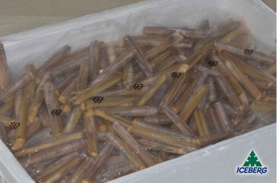 CANNOLICCHIO NOSTRANO              1X4KG   CG