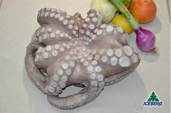 POLPO MAROCCO T1 4KG/UP P.V. IQF   1X10KG  CG