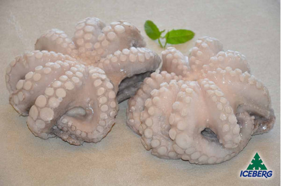 POLPO MAROCCO T5 1,2/1,5KG         1X12KG  CG