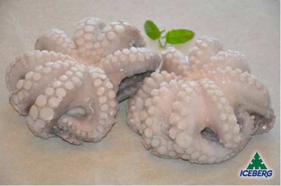 POLPO MAROCCO T5 1,2/1,5KG         1X12KG  CG