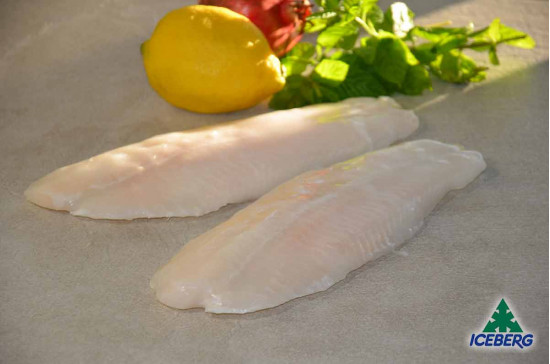 FILETTO PANGASIO 170/220 IQF       10X800GRCG