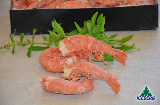 CODE GAMBERO ARGEN. SC 1 B. C.EXTRA 6X2KG  CG